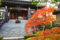 【東京都北区】もみじ寺(滝野川城跡)は、やっぱり紅葉が綺麗